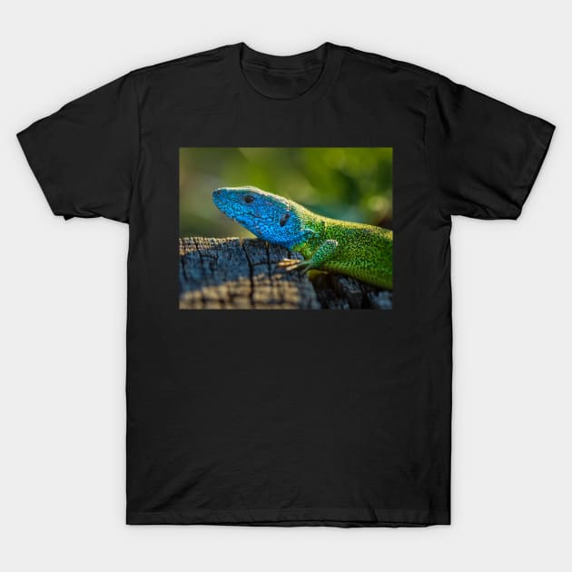 Emerald lizard on a stump T-Shirt by naturalis